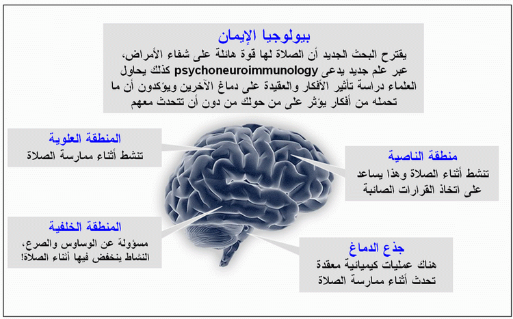 بيولوجيا الايمان