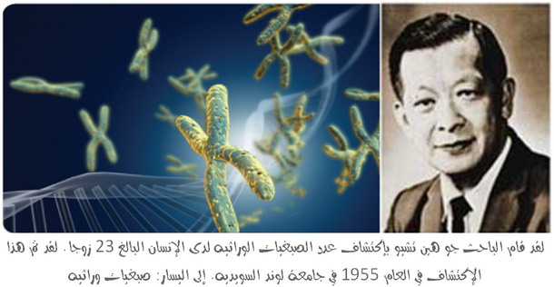Joe Hin Tjio discovered human chromosome number in the year 1955